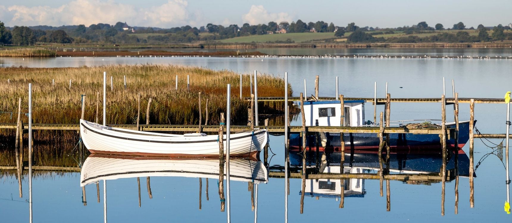 En dansk havn med både og rørskov ved stille vand